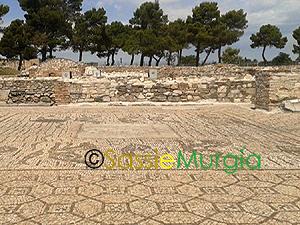 sei-su-immagine-raffigurante-mosaici-romani-in-area-archeologica-di-venosa