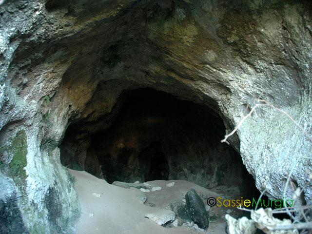sei-su-immagine-raffigurante-ingresso-della-paleolitica-grotta-dei-pipistrelli