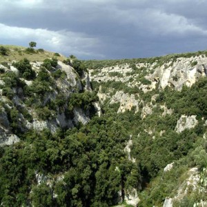 sei-su-immagine-raffigurante-cespugli-di-macchia-mediterranea-sulle-rupi-scoscese-della-Gravina-di-matera