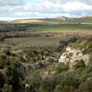 sei-su-immagine-raffigurante-avucchiare-e-ulivi-secolari-nel-cuore-del-parco-naturale-della-murgia-materana