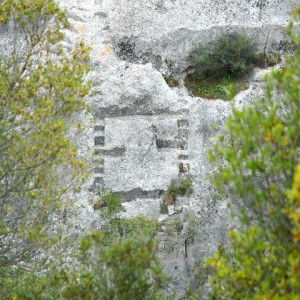 sei-su-immagine-raffigurante-tra-le-fronde-degli-alberi-un-antico-scavo-per-impianto-di-ponte-sul-torrente-Gravina