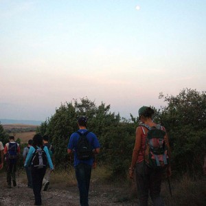 sei-su-immagine-raffigurante-un-escursione-all-alba-tra-i-profumi-della-macchia-mediterranea