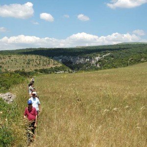 sei-su-immagine-raffigurante-escursionisti-in-fila-indiana-in-cammino-verso-masseria-strada