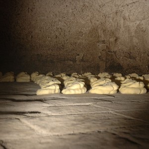 sei-su-immagine-raffigurante-pane-di-matera-in-cottura-sulle-chianche-di-forno-a-legna