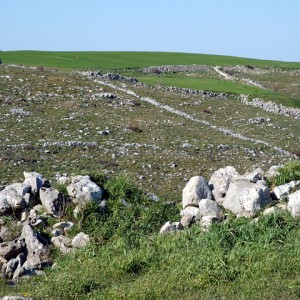 sei-su-immagine-raffigurante-perimetrazione-di-terreni-tramite-muretti-a-secco-nel-parco-regionale-della-murgia-materana