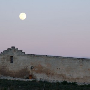 sei-su-immagine-raffigurante-lo-iazzo-gattini-al-tramonto