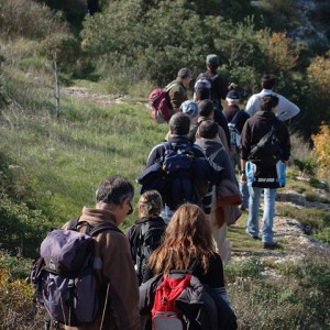 sei-su-immagine-raffigurante-un-gruppo-di-escursionisti-a-piedi-sulla-murgia-materana