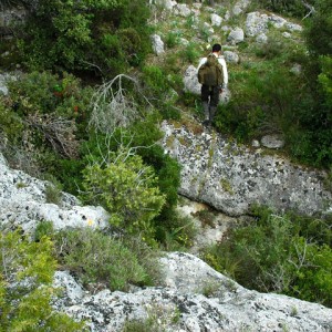 sei-su-immagine-raffigurante-la-macchia-mediterranea-nel-parco-naturale-regionale-della-murgia-materana