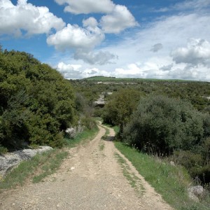 sei-su-immagine-raffigurante-un-antico-tratturo-nel-parco-della-murgia-materana