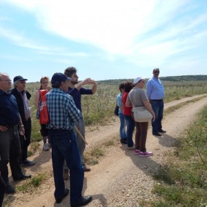 sei-su-immagine-raffigurante-il-gruppo-di-disabili-psichici-che-assiste-alla-spiegazione-della-piante-del-Parco-della-murgia-materana