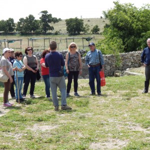 sei-su-immagine-raffigurante-un-gruppo-di-persone-con-disabilità-psichica-sostano-presso-la-masseria-radogna-nel-parco-naturale-regionale-della-murgia-materana